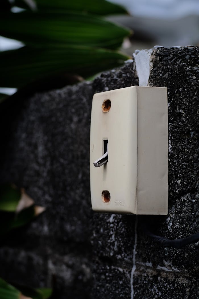 Close-up of a vintage wall-mounted electrical switch on a concrete wall with greenery.